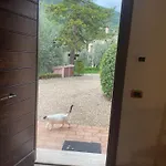 La Pila Alojamento de Turismo Rural