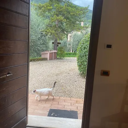 La Pila Farm stay